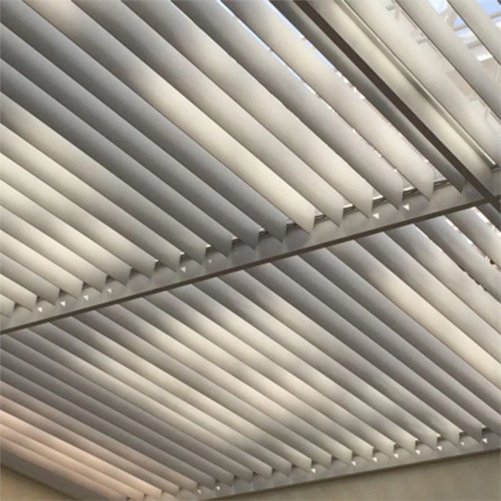 False Strip Linear Indoor Metal Curved Ceiling Aluminum For National Library Building Decorative